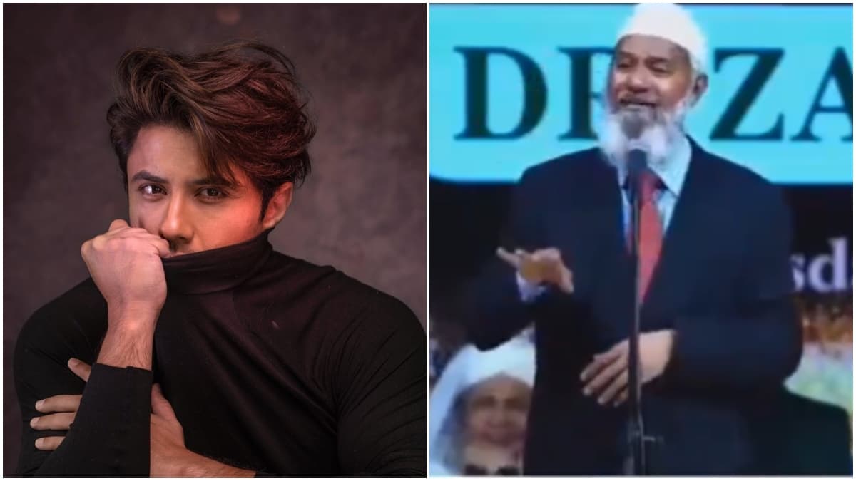 महिलाएं सार्वजनिक संपत्ति बन जाएं... जाकिर नाइक के बयान से भड़का पाक एक्टर, दिया मुंहतोड़ जवाब