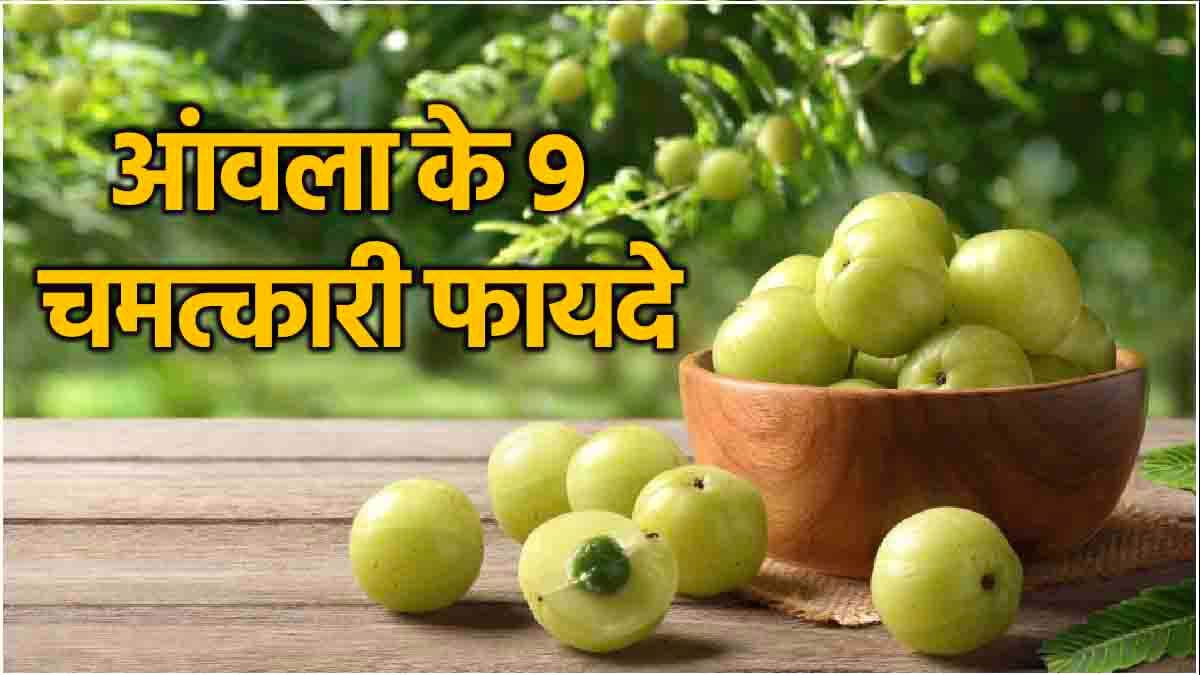 Amla Benefits: आंवला रोज खाने से मिलेंगे 9 जबरदस्त फायदे, किन लोगों को नहीं खाना चाहिए?