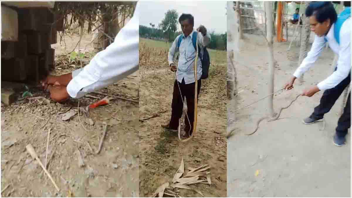 सांपों के साथ खेलता है बिहार का 'स्नेकमैन', 5000 से ज्यादा कर चुका है रेस्क्यू