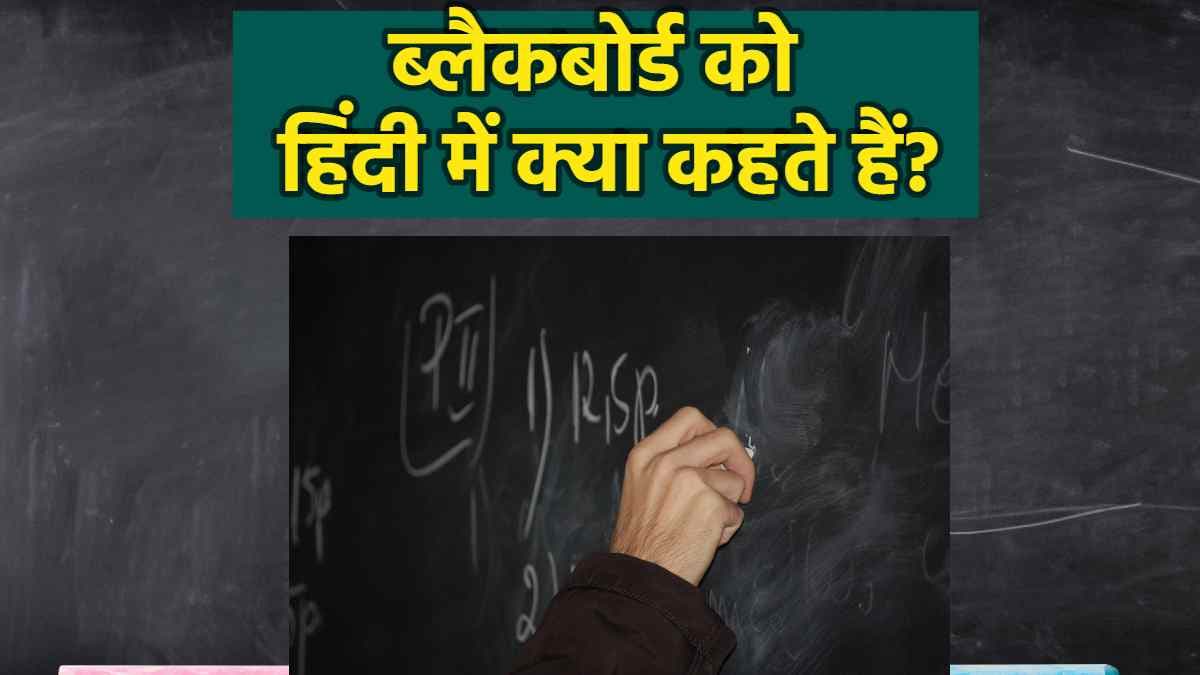 Gk : स्कूल वाले ब्लैकबोर्ड को हिंदी में क्या कहते हैं? जानें ऐसे ही 8 सवालों के जवाब