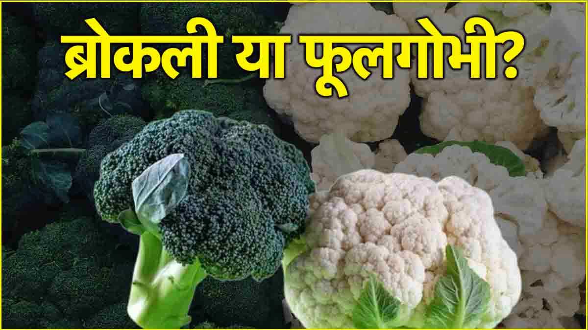 Broccoli और फूलगोभी की कैलोरी में कितना अंतर, कौन सी सब्जी किसके लिए फायदेमंद?