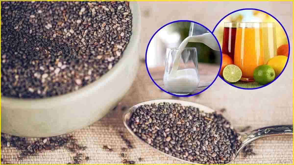 सावधान! 7 चीजों के साथ भूलकर भी न खाएं चिया सीड्स, हो सकते हैं कई नुकसान