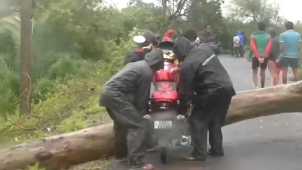 Cyclone Dana: 16 लाख लोग बेघर, पेड़ टूटने से सड़कें ब्लॉक...जानें चक्रवाती तूफान का ओडिशा में कितना-कैसा असर?