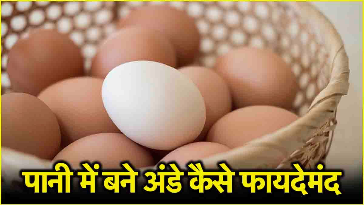 Steam Egg Benefit: अंडे की ये रेसिपी खाने में लाजवाब, सेहत के लिए फायदेमंद