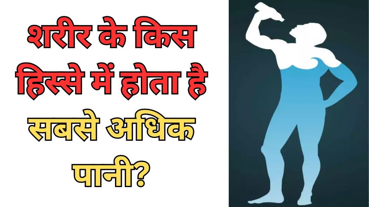 शरीर के किस हिस्से में होता है सबसे अधिक पानी? जानें ऐसे ही दिलचस्प सवालों के जवाब