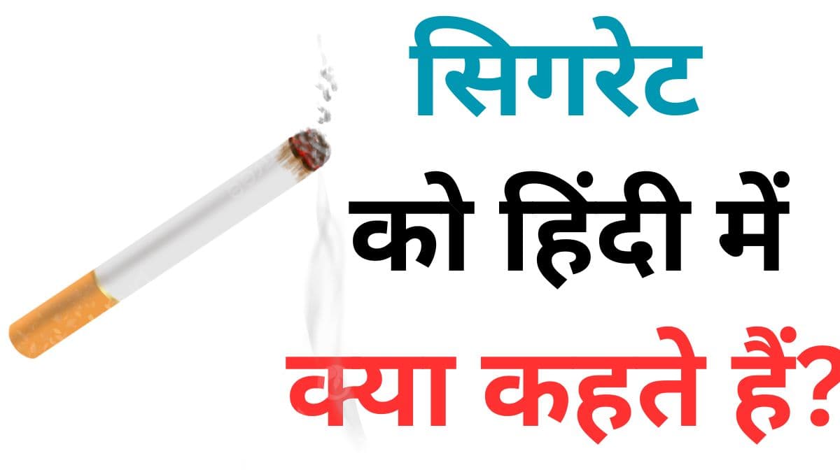 General Knowledge : बताओ, सिगरेट को हिंदी में क्या कहते हैं? चकरा जाएगा सबका दिमाग