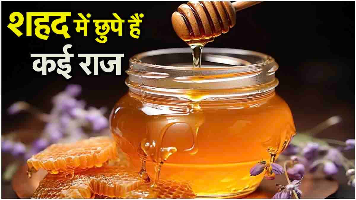 Honey Benefits: इन चीजों के साथ लें शहद, कई गंभीर बीमारियां होंगी छूमंतर
