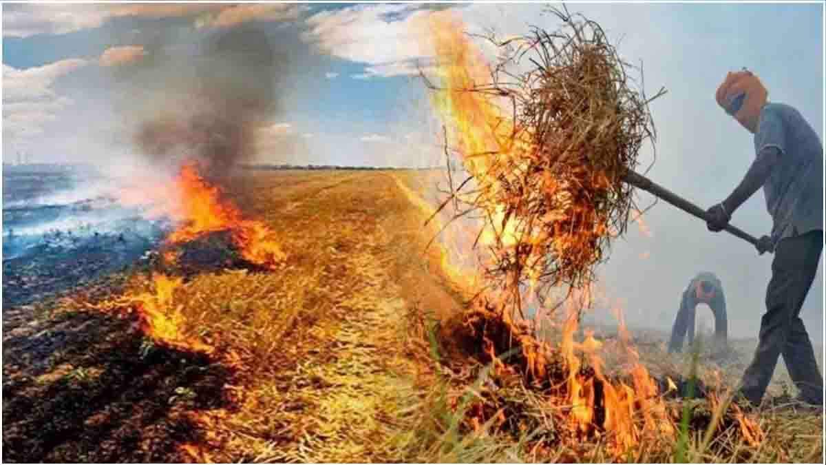 'पराली जलाने पर होगी FIR, मंडी में फसल बेचने पर लगेगी रोक', हरियाणा सरकार का बड़ा एक्शन