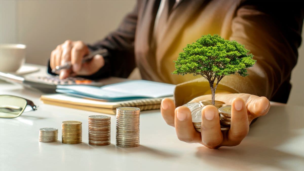 नए साल में SIP में करना चाहते हैं इन्वेस्ट तो गांठ बांध लें ये खास बातें, वरना उठाना पड़ेगा नुकसान
