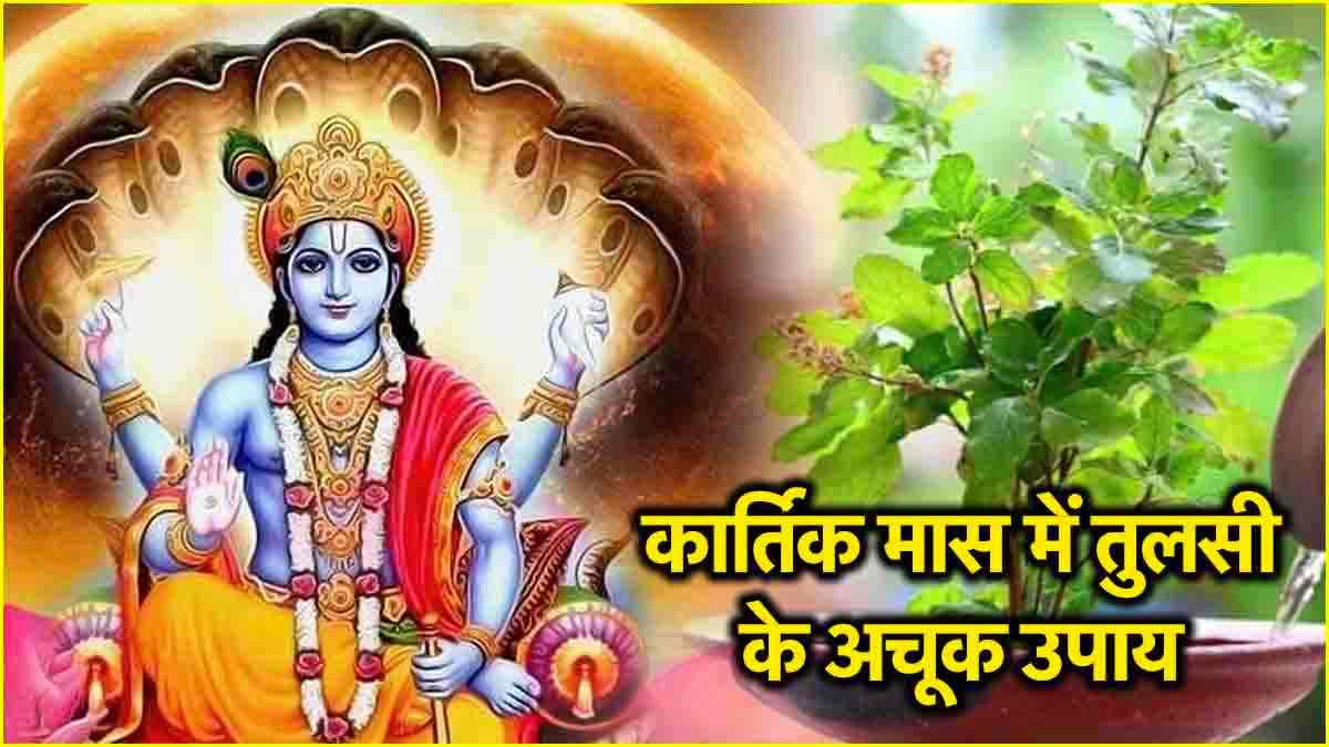 Kartik Mas Tulsi Ke Upay: कार्तिक माह में इस तरह करें तुलसी की पूजा, धन से भर जाएगी तिजोरी!