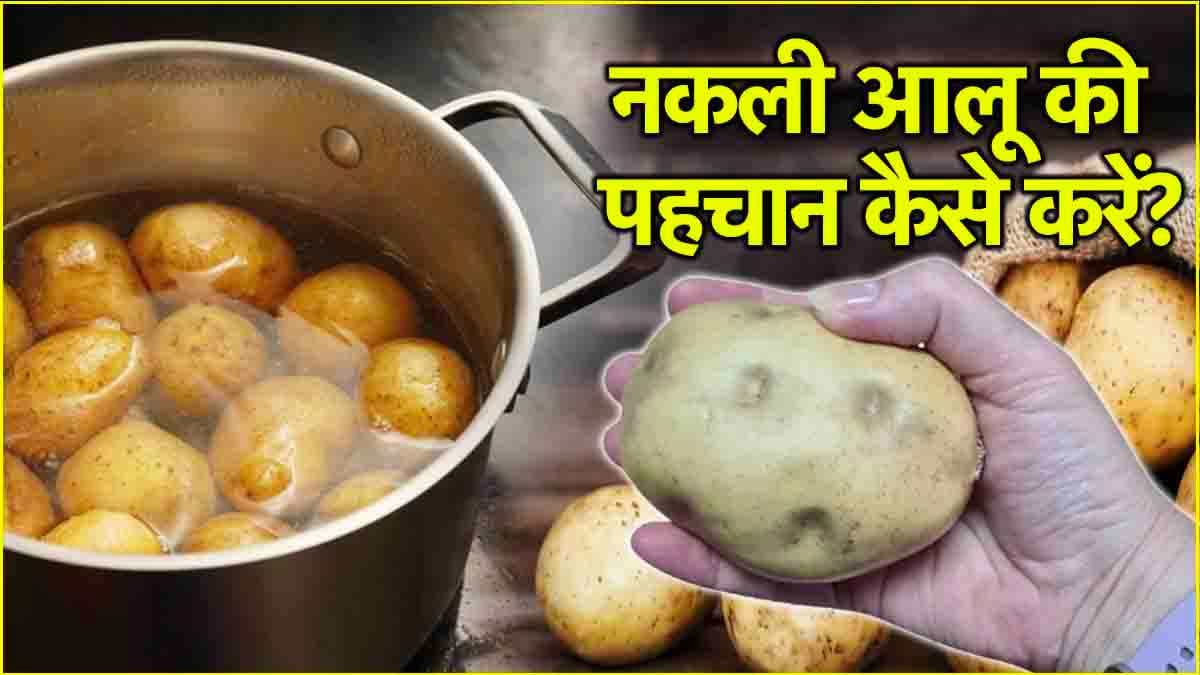 Potato Real or Fake: कहीं आप तो नहीं खा रहे नकली आलू? 3 तरीके से करें असली की पहचान