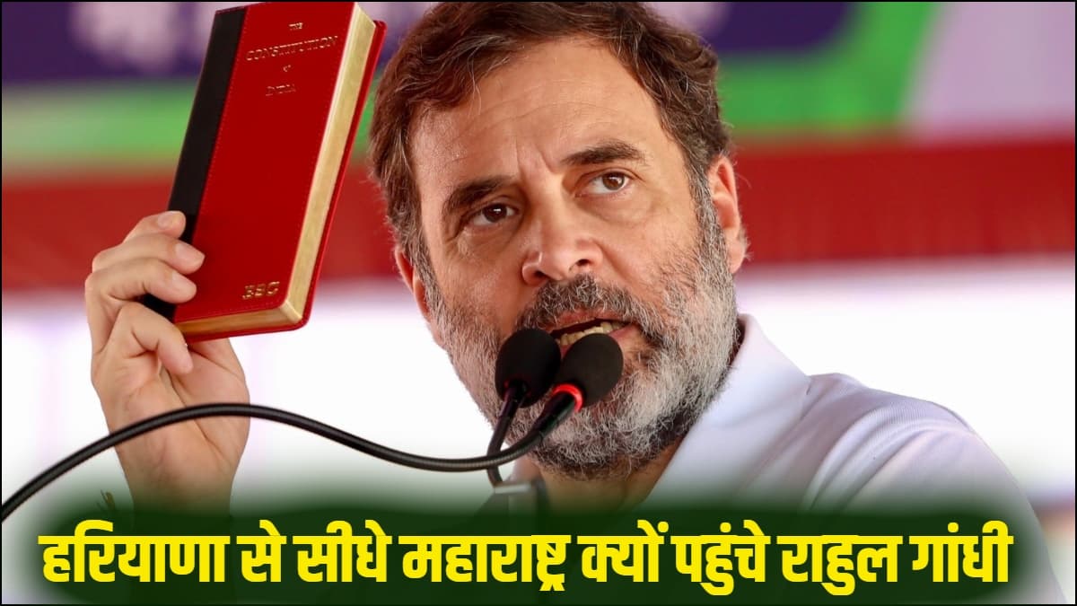 हरियाणा से राहुल गांधी के सीधे महाराष्ट्र पहुंचने के मायने क्या? सांगली, कोल्हापुर... 70 सीटों का खेल!
