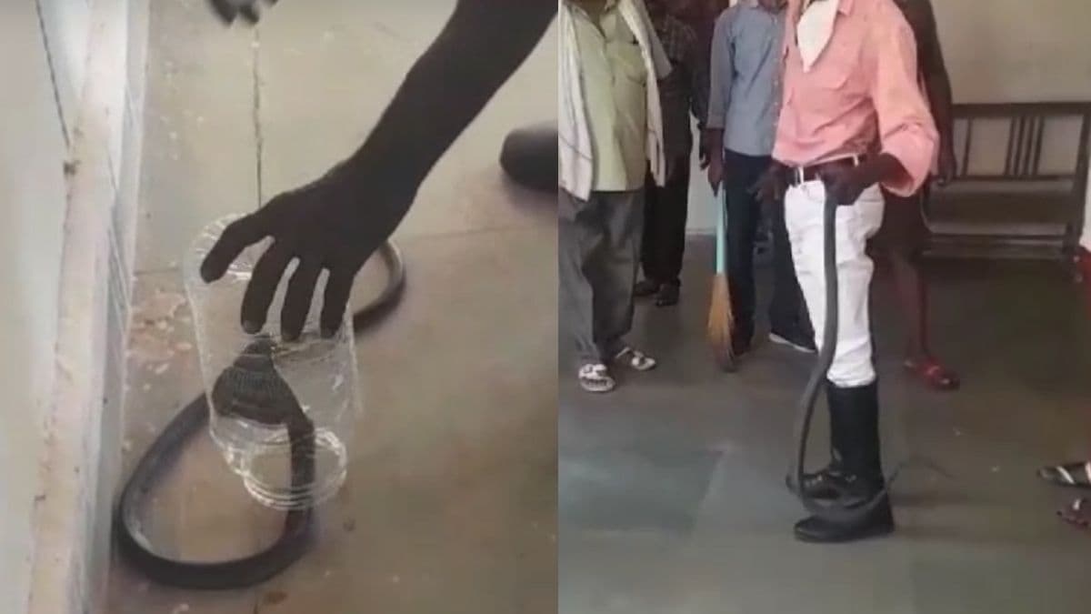 Video : जब नागिन पहुंची सरकारी दफ्तर, भाग खड़े हुए अधिकारी; ऐसे किया गया रेस्क्यू