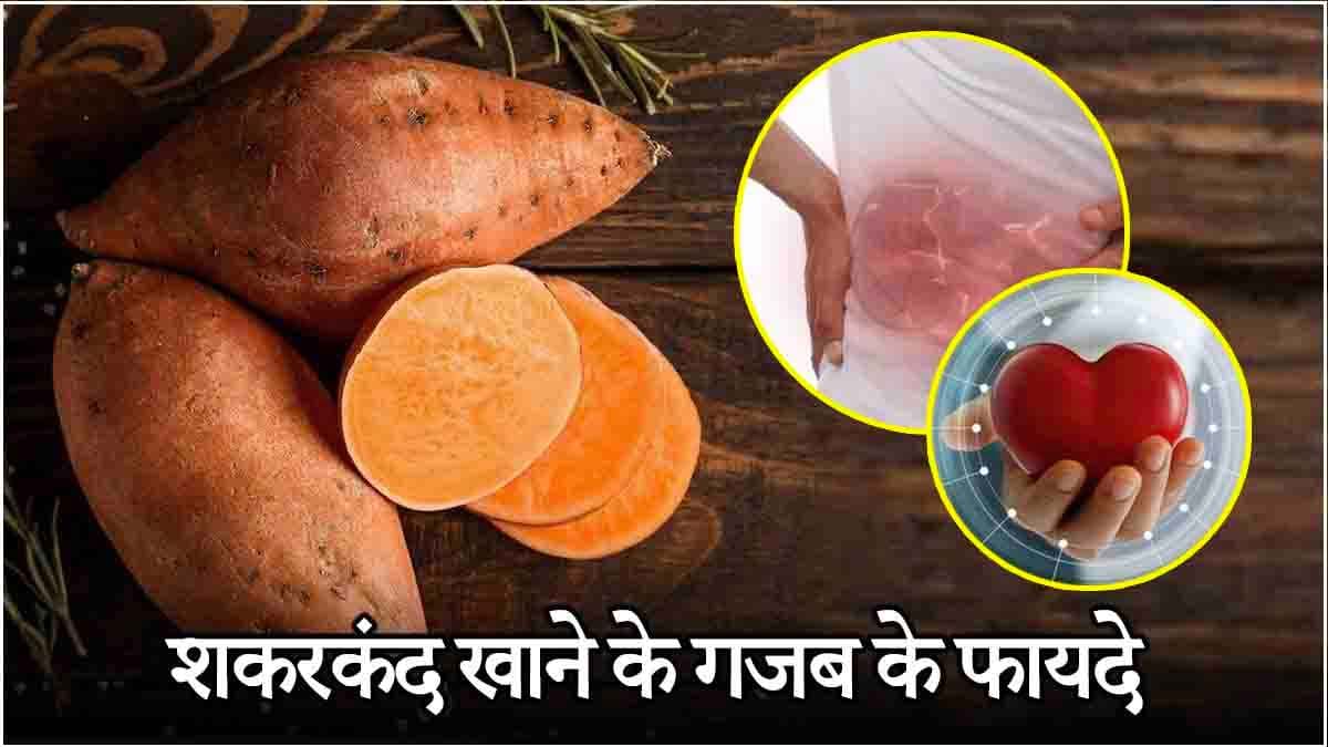 शकरकंदी खाने के 5 चौंकाने वाले फायदे, हड्डियों-किडनी के लिए भी है वरदान