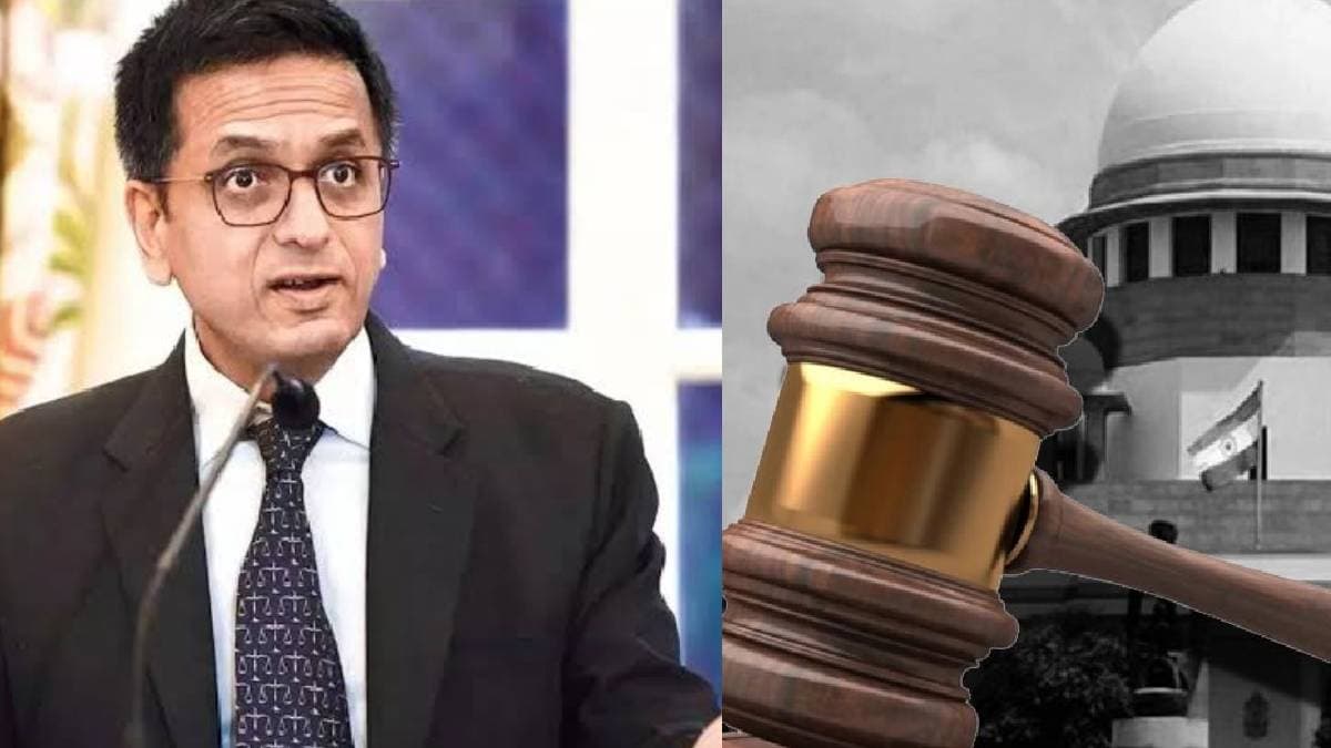 'कल आप मेरे घर आओगे और पूछोगे कि मैं क्या कर रहा हूं?...', CJI ने वकील को क्यों लगाई फटकार?