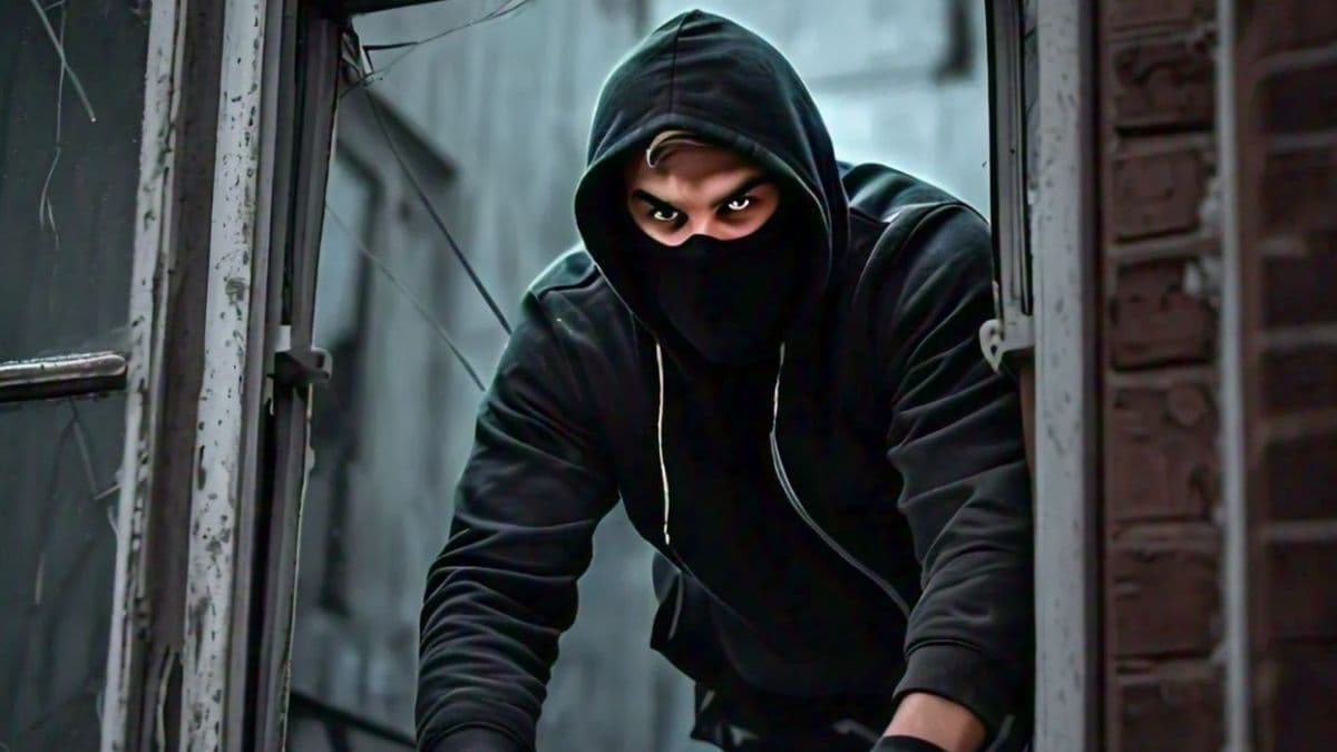 Thief Enters in house