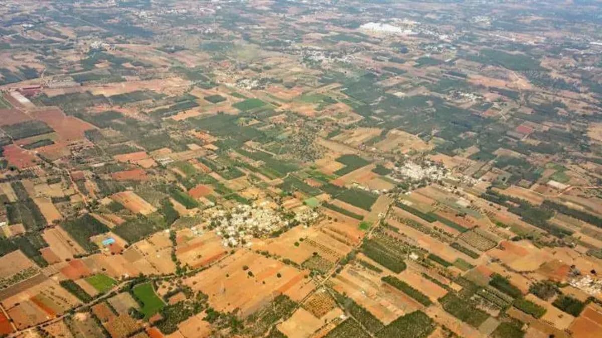 YEIDA Plot Scheme 2024: दिवाली धमाका! 7 लाख  में प्लॉट, एक लाइन में दिखेंगे 'अमीर-गरीब'