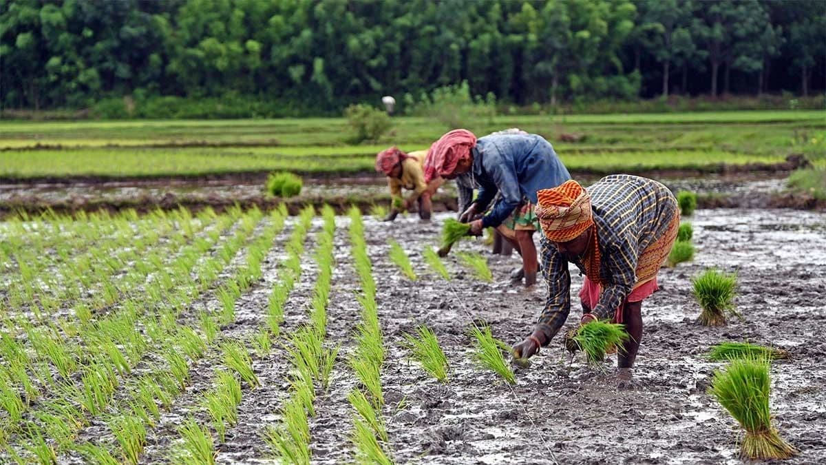 18वीं किस्त नहीं आए तो घबराएं न किसान! PM Kisan Nidhi Yojana से जुड़ी समस्याओं के लिए है ये नंबर