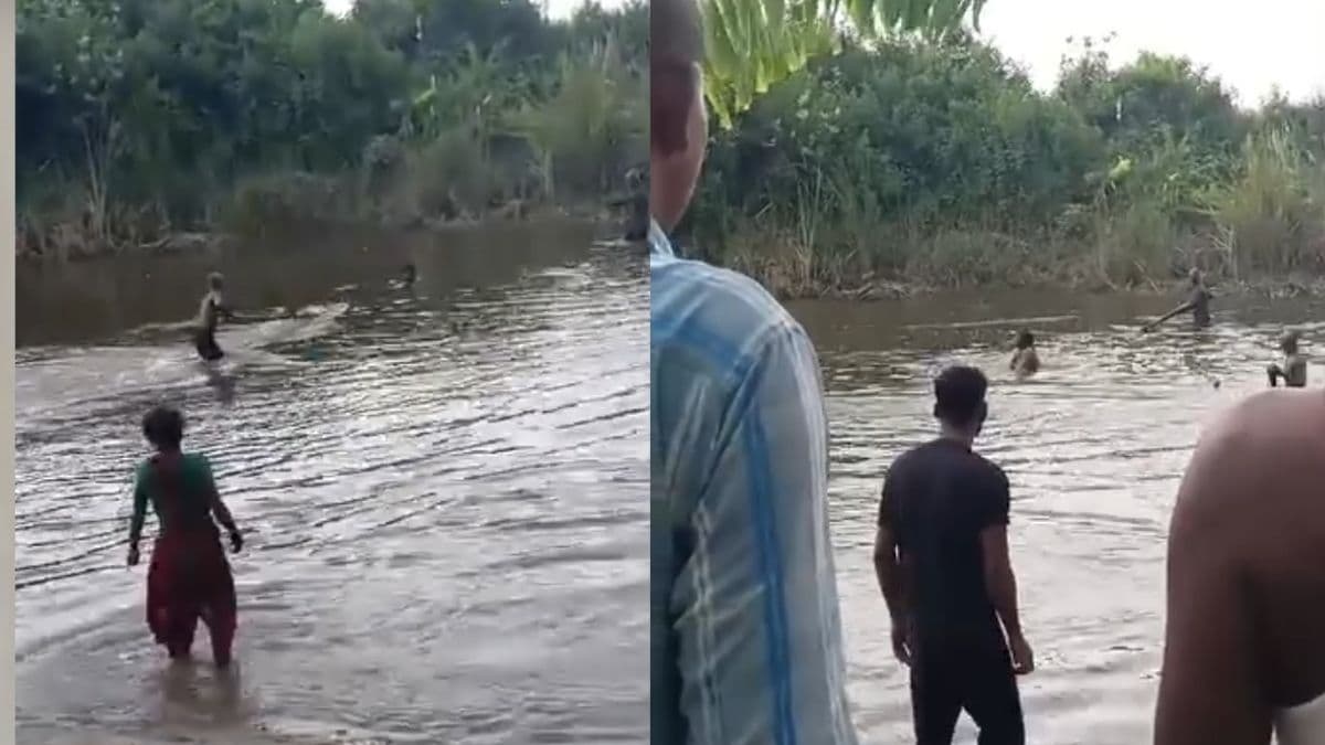 Crocodile attack in bihar