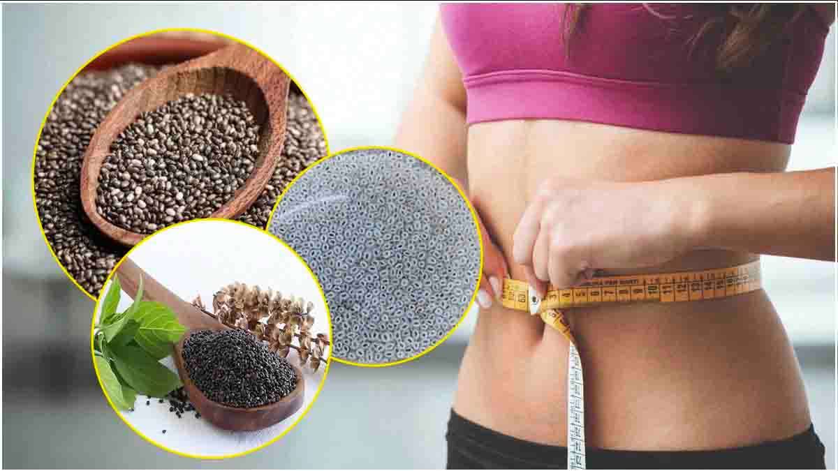 Weight Loss का बेहतरीन फॉर्मूला, चिया सीड्स, सब्जा और तुलसी के बीज में कौन सा ज्यादा असरदार?