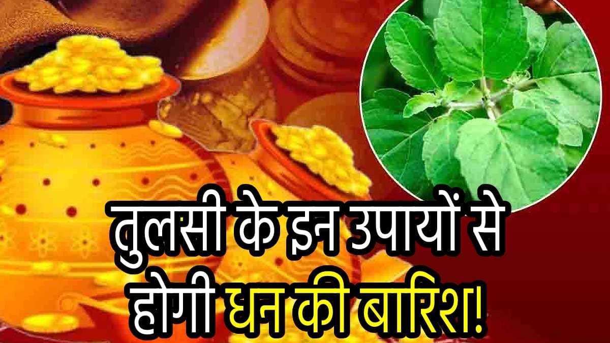 Dhanteras 2024: धनतेरस पर करें तुलसी के ये 3 उपाय, आर्थिक परेशानियां और पारिवारिक कलह होंगे दूर!