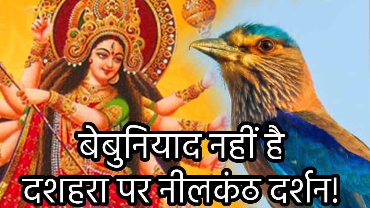 Dussehra 2024: क्यों शुभ है दशहरे के दिन नीलकंठ पक्षी दर्शन? ये 5 कारण जानकर रह जाएंगे हैरान!
