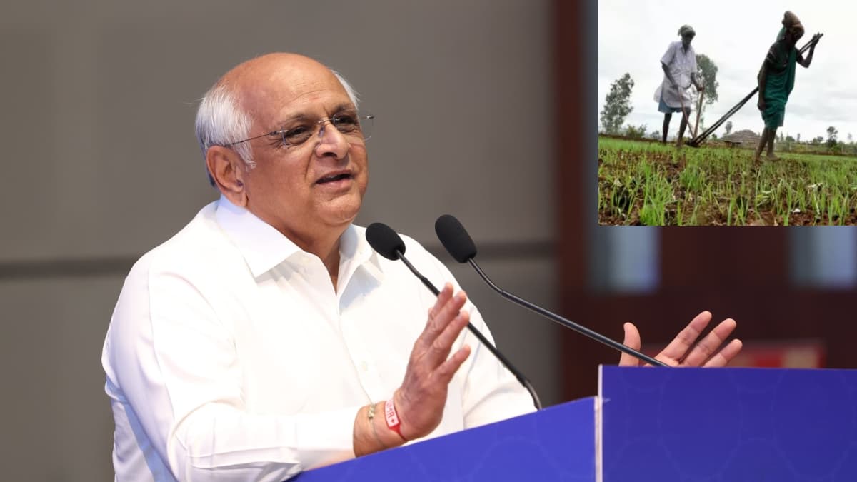 गुजरात सरकार ने किया किसानों की मदद का ऐलान, फसल नुकसान पर करोड़ों का मिलेगा मुआवजा