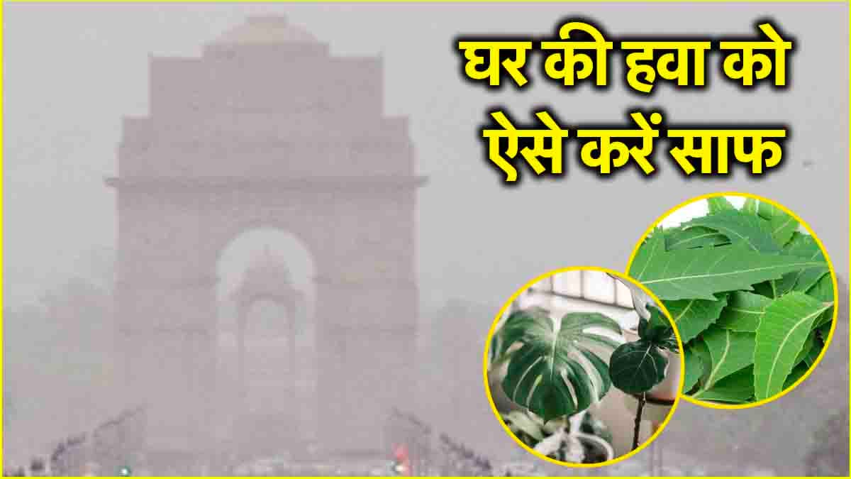 फॉग नहीं स्मॉग है ये... घर के अंदर के पॉल्यूशन को दूर करने के 5 सोल्यूशन