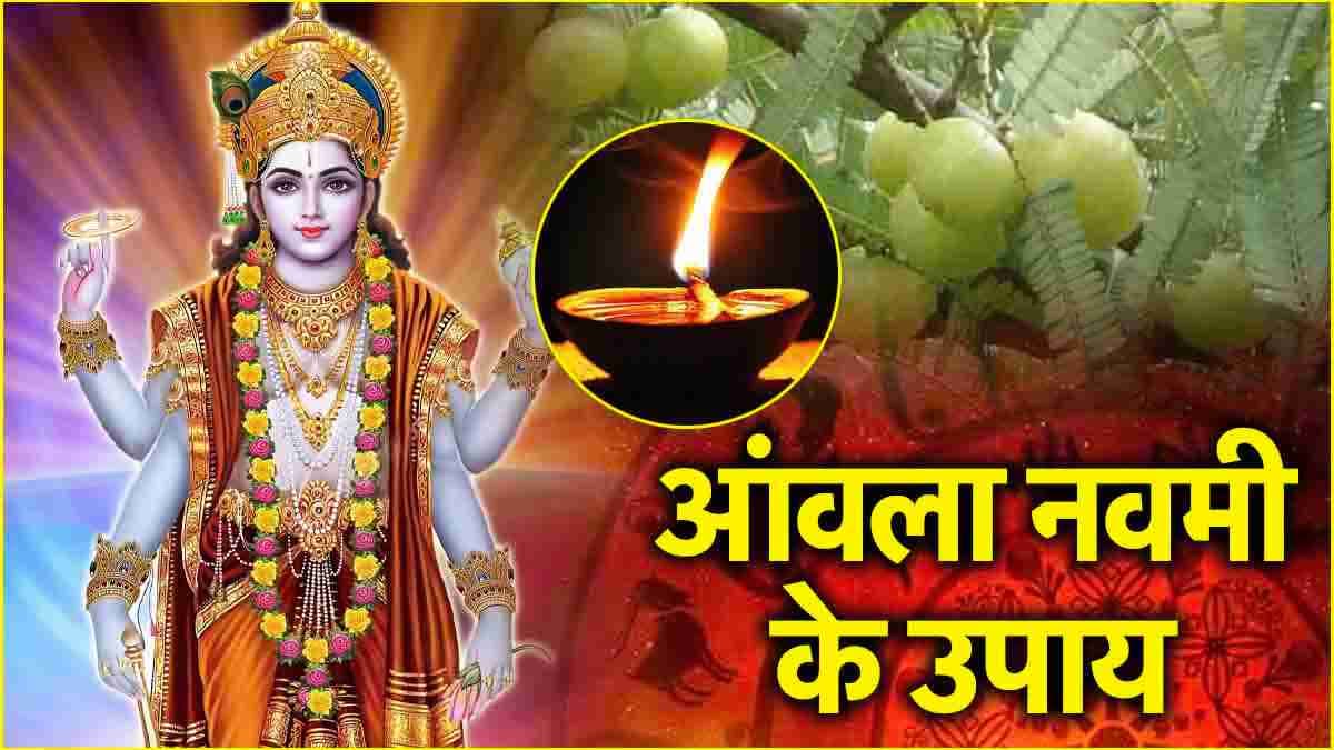 Amla Navami 2024: आंवला नवमी पर 12 राशियों की धन से भरेगी तिजोरी! राशि अनुसार करें ये उपाय