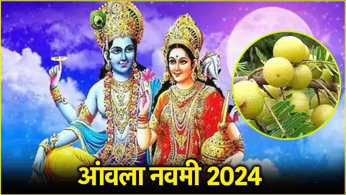 Amla Navami 2024: आंवला नवमी पर इस विधि से करें श्री हरि की पूजा, सभी इच्छाएं होंगी पूरी!