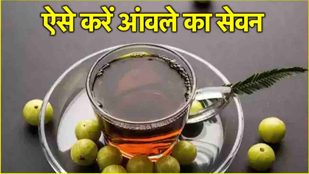 Amla Benefits: आंवला को डाइट में कैसे करें शामिल? बीमारियां रहेंगी कोसो दूर