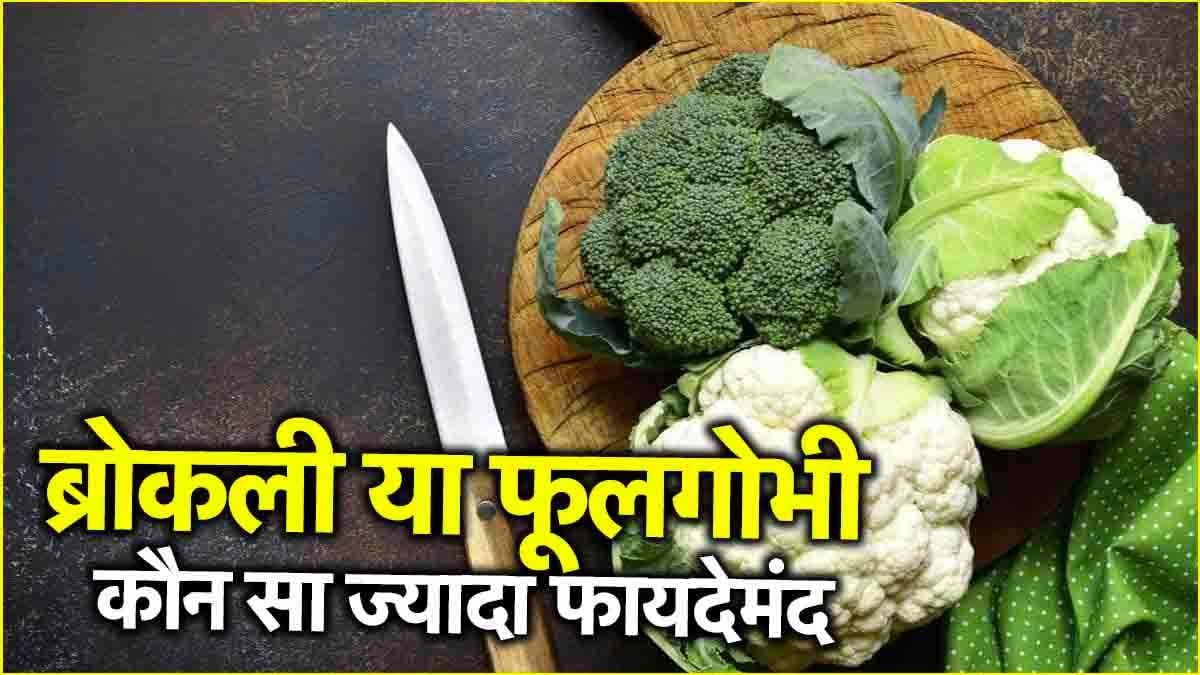 Broccoli Vs Cauliflower: ब्रोकली या फूलगोभी कौन-सा ज्यादा सेहद के लिए बेहतर, जानें इसके फायदे