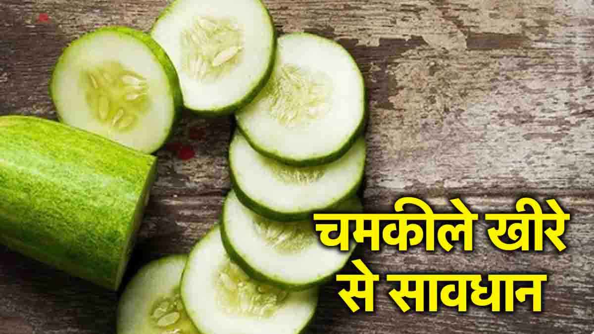 चमक वाले खीरे सेहत के लिए सही या नहीं? कहीं आप तो नहीं कर रहे ये गलती