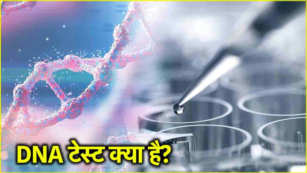 कहां-कहां इस्तेमाल होता है DNA? जानें महत्व और इससे जुड़ी जरूरी बातें