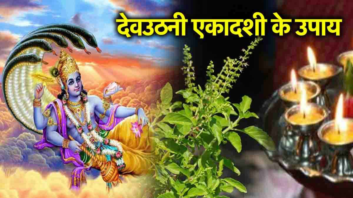 Dev Uthani Ekadashi 2024: तुलसी के इन 5 उपायों से दूर होंगी सभी परेशानियां, बनेंगे बिगड़े काम!