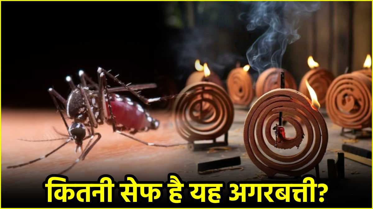 मच्छर भगाने के लिए कमरे में धूप-अगरबत्ती सही या नहीं, सेहत पर किस तरह डाल रही है असर?