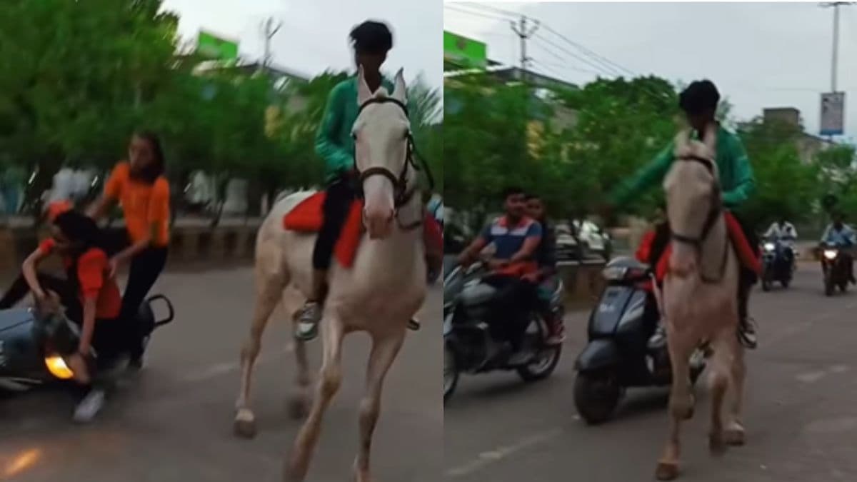 Viral Video: घोड़े ने मारी लात, स्कूटी ने नीचे गिरीं लड़कियां, वायरल हो रहा वीडियो