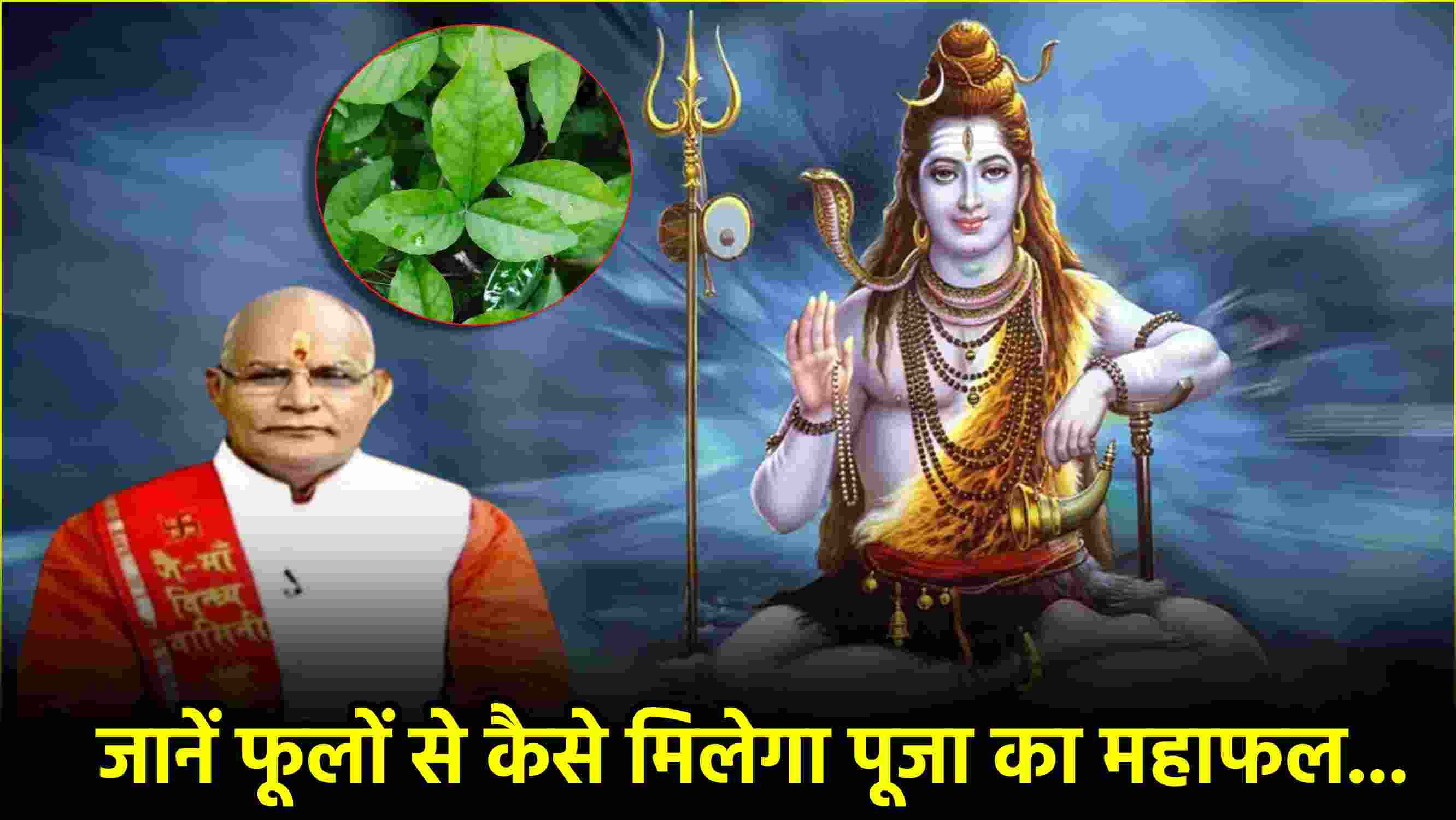 Kaalchakra: शिव हुए खुश तो धनवान बनेंगी 12 राशियां, पंडित सुरेश पांडेय से जानें फूल के उपाय
