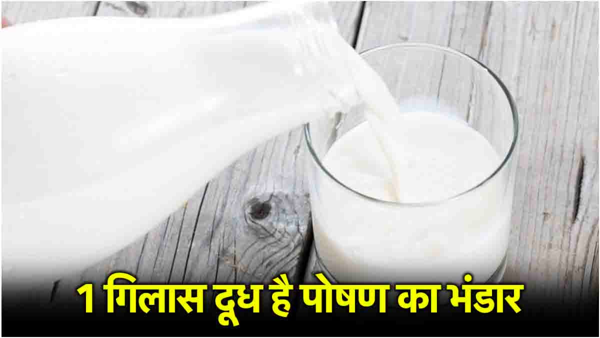 Milk Benefits: रोज दूध पीना क्यों जरूरी, डाइटीशियन से जानें हेल्थ बेनेफिट्स