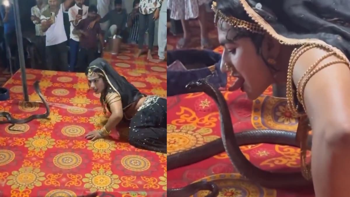 Video: असली नाग के सामने डांसर का नागिन डांस! देखने वालों के छूट गए पसीने