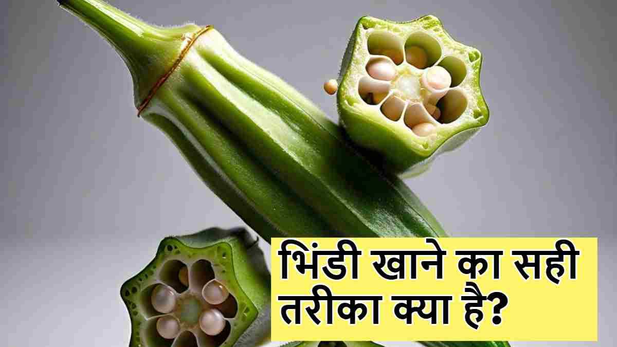 Worst Food Combination: भिंडी के साथ कभी न खाएं ये दो फूड्स, पेट में बन सकता है जहर