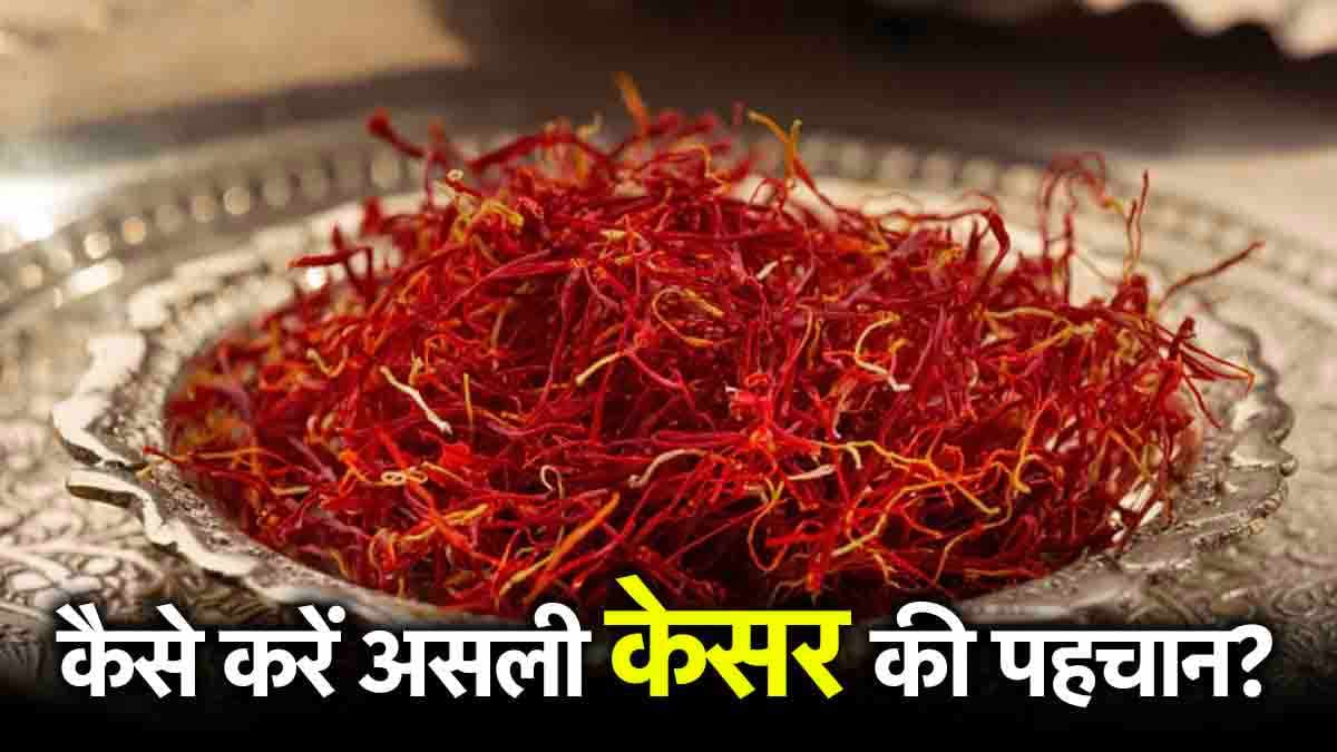 Real or Fake Kesar: केसर असली है या नकली? घर बैठे ऐसे करें पहचान, जानें 5 तरीके