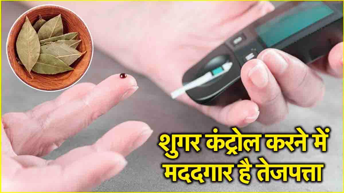 Bay Leaves Benefits: डायबिटीज के लिए रामबाण है तेजपत्ता, जानें कैसे करें इसका इस्तेमाल