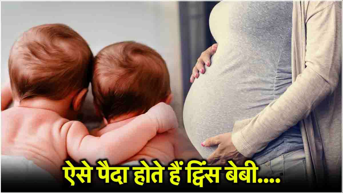 कैसे पैदा होते हैं जुड़वा बच्चे? एक्सपर्ट से जानें किन महिलाओं में होती है ऐसी संभावना