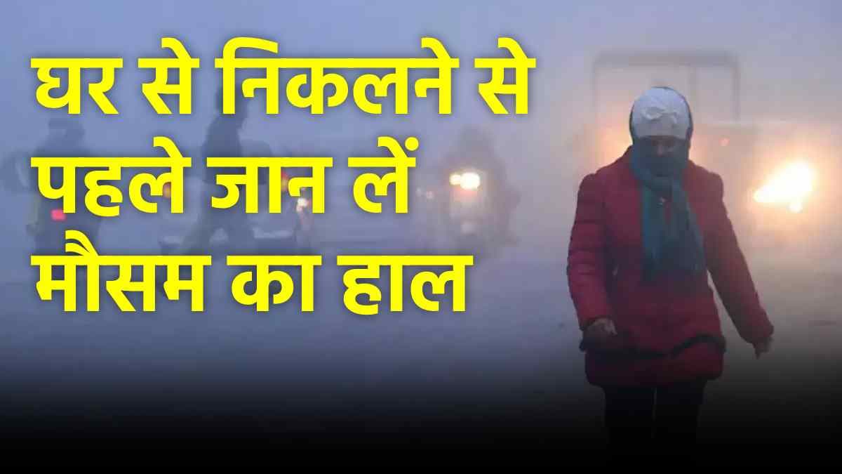 Delhi NCR में घने कोहरे, ठंड का अलर्ट! जानें दिल्ली-नोएडा और गाजियाबाद में कैसा रहेगा मौसम?