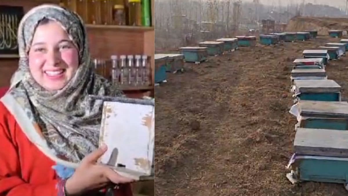 Bee Queen of Kashmir: कौन है सानिया जेहरा? 20 साल की उम्र में हासिल किया बड़ा खिताब