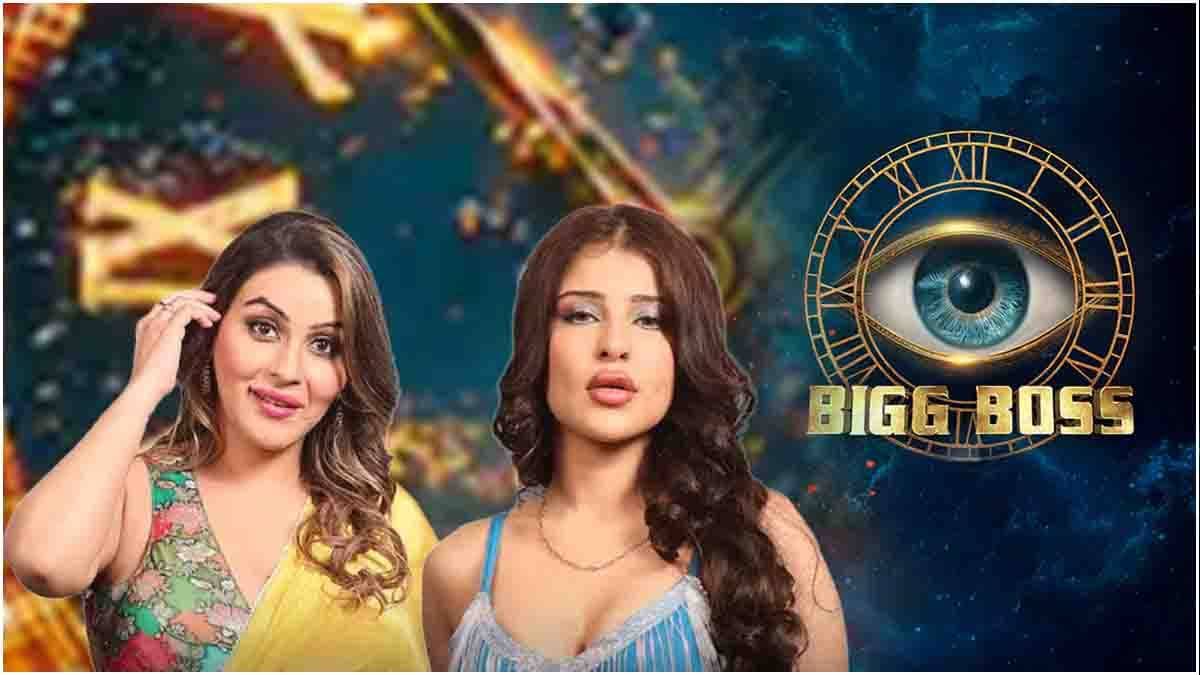 Bigg Boss 18: यामिनी और एडिन का चार्म कहां पड़ा फीका? एविक्शन की वजह बने 5 कारण