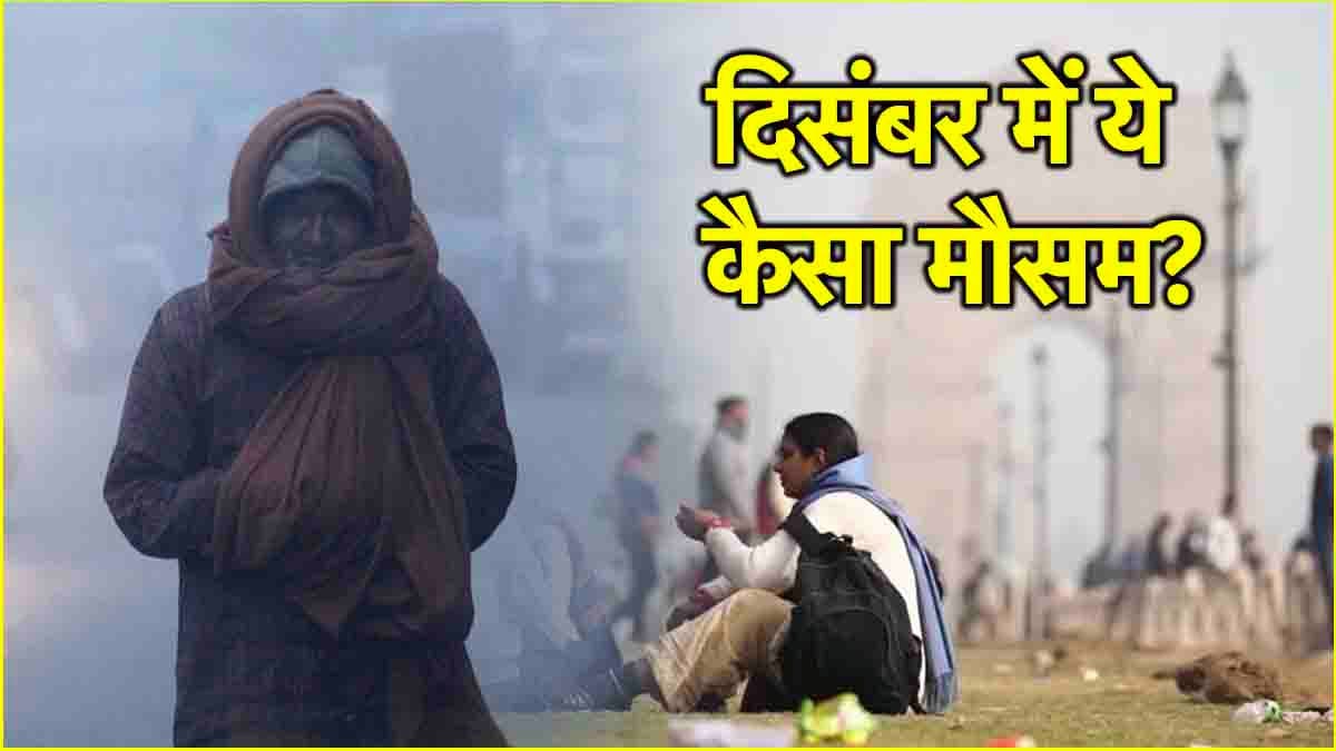 दिल्ली-NCR में ठंड क्यों नहीं? कोहरे, शीत लहर, बारिश को लेकर IMD की रिपोर्ट चौंकाने वाली