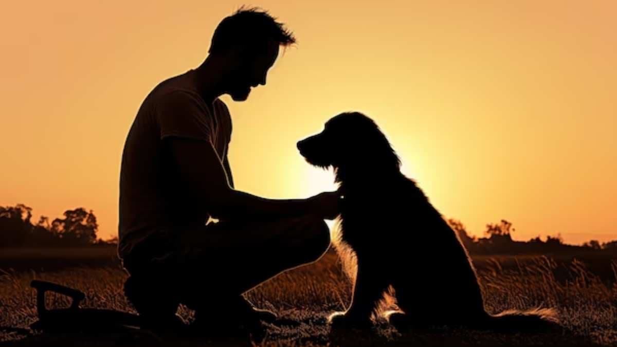 Dog Understand Human Language
