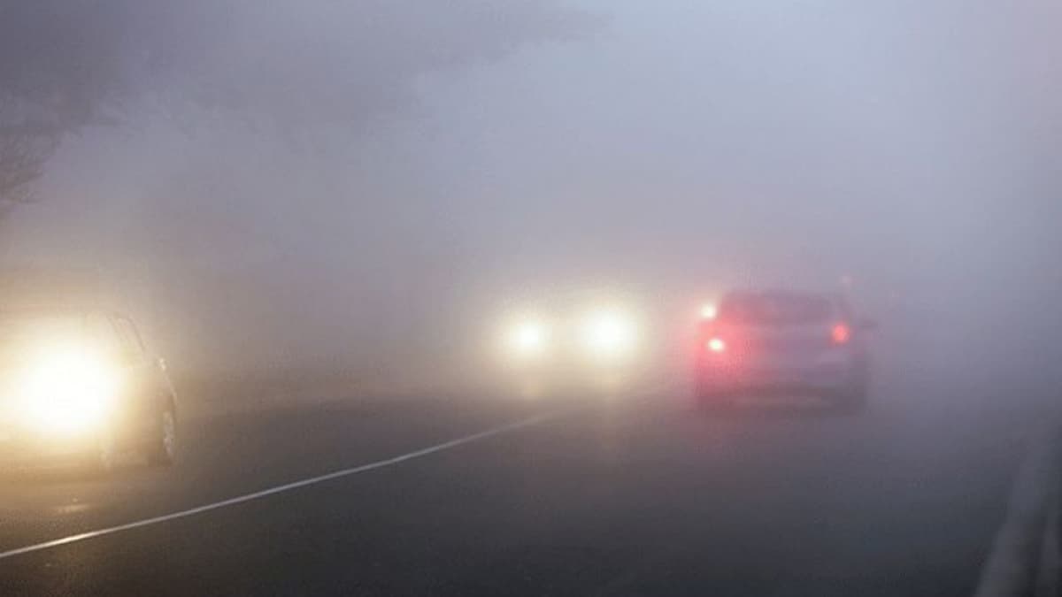 Car Driving in Fog: कोहरे में गाड़ी चलाते समय इन 7 बातों का रखें ध्यान, फायदे में रहेंगे